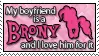 My Boyfriend Is a Brony