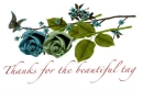 Thanks 