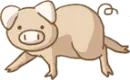 piggy