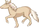 horse