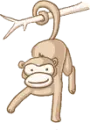 monkey