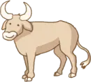 ox