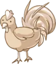 chicken