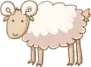 sheep