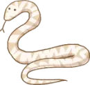 snake