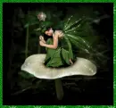 Green Fairy