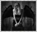 Fallen Angel