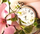 Time