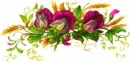 Sweet Pea