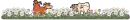 Cows Divider