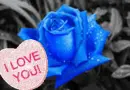 I Love You