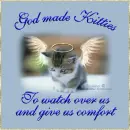 God Made Kitties