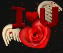 i heart you