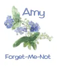 Forget-Me-Not - Amy
