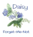 Forget-Me-Not - Daisy