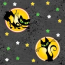 BLACK CAT