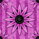purple daisys