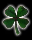 Four Leaf Clover