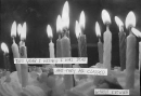 Birthday Wish