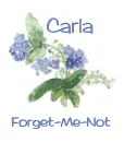 Forget-Me-Not - Carla