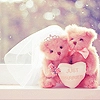 Bears â™¥