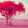 Red tree