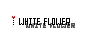 White Flower