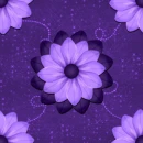 purple flowers