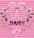 Daisy 