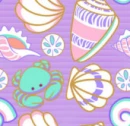 beach and shells