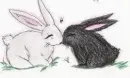 bunnies