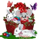 chrissi