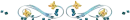 Abtract Divider