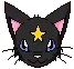 Winking Cat