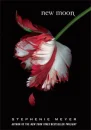 new moon
