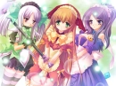Magic Trio