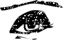 eye