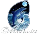 melissa dolphins