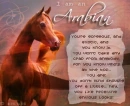 I am an Arabian