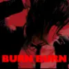 Lostprophets burn burn