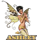 ashley fairy