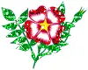 red flower