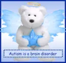 Boy bear, autism is a brain disorder