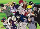 shikamaru, temari, hinata, gaara, rock lee, kankuro sakura, naruto, ino, chouji, neji, kiba