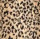 animal prints