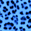 animal prints