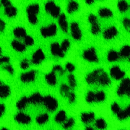 animal prints