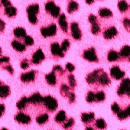 animal prints