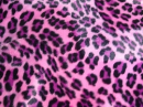 animal prints