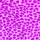 animal prints